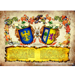 Heráldica de 2 apellidos con sus escudos y sus orígenes