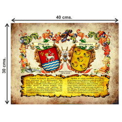 Heráldica de 2 apellidos con sus escudos y sus orígenes