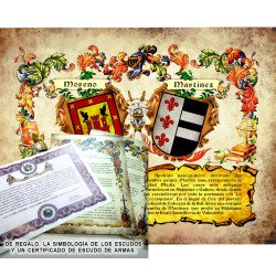 Heráldica de 2 apellidos con sus escudos y sus orígenes