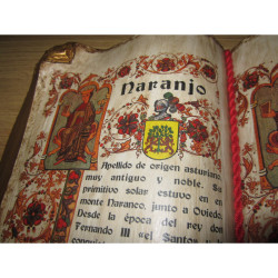 Libro heráldico de 2 apellidos