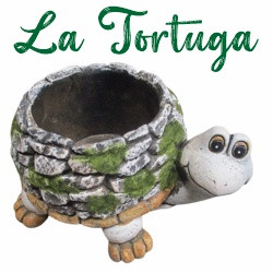 La Tortuga